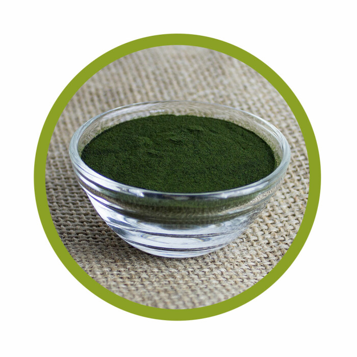 Bio Chlorella Pulver 100 g